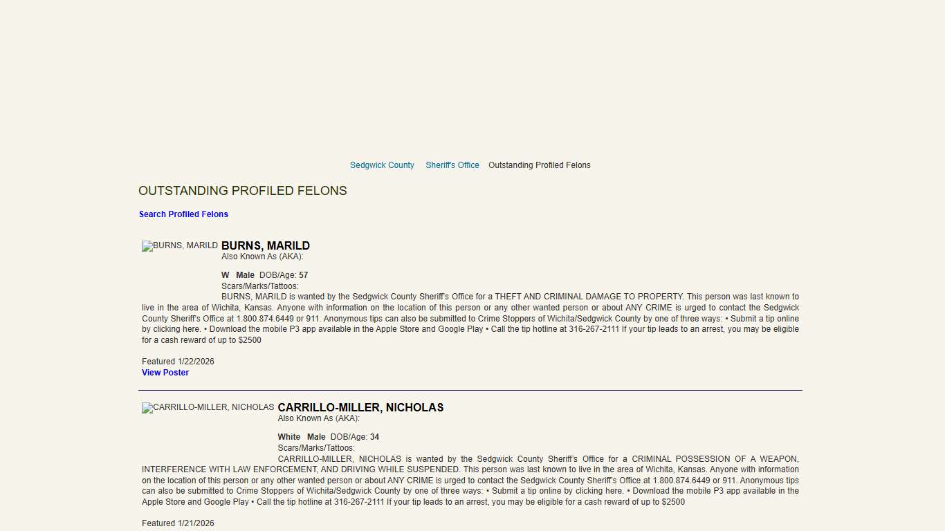 Outstanding Profiled Felons